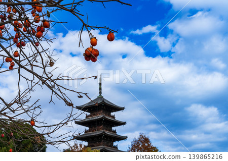 備中國分寺的深秋：柿子與五重塔（21），岡山縣總社市 139865216