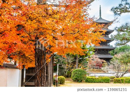 Late Autumn at Bitchu Kokubunji Temple: Autumn Leaves, the Temple Gate, and the Five-Storied Pagoda (Part 3) - Soja City, Okayama Prefecture Late Autumn at Bitchu Kokubunji Temple: Autumn Leaves, the Temple Gate, and the Five-Storied Pagoda (Part 3) - Soja City, Okayama Prefecture 139865231