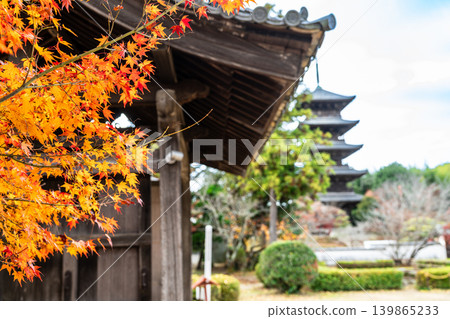 Late Autumn at Bitchu Kokubunji Temple: Autumn Leaves, the Temple Gate, and the Five-Storied Pagoda (Part 1) - Soja City, Okayama Prefecture Late Autumn at Bitchu Kokubunji Temple: Autumn Leaves, the Temple Gate, and the Five-Storied Pagoda (Part 1) - Soja City, Okayama Prefecture 139865233
