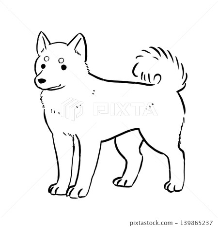 柴犬的線條藝術插圖:日本犬的簡單站立姿勢。 柴犬的線條藝術插圖:日本犬的簡單站立姿勢。 139865237