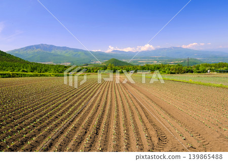 田野和山脈綿延在晴朗、陽光明媚的景色中。 田野和山脈綿延在晴朗、陽光明媚的景色中。 139865488