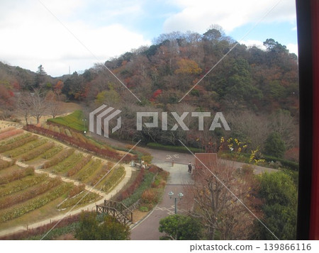 Landscape from the ropeway Landscape from the ropeway 139866116