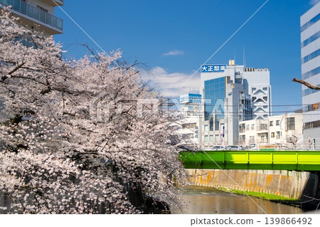 Cherry blossoms in Tokyo - Kanda River, Takatobashi Bridge Cherry blossoms in Tokyo - Kanda River, Takatobashi Bridge 139866492