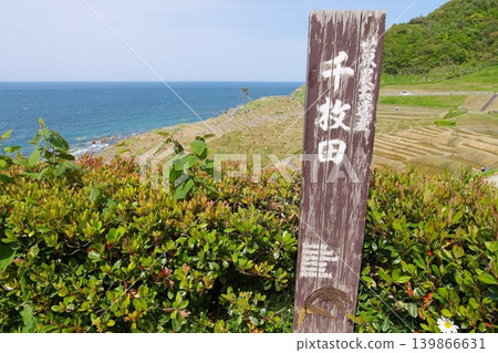 2023 年 5 月，水稻種植前白米千枚田梯田的景色。 139866631