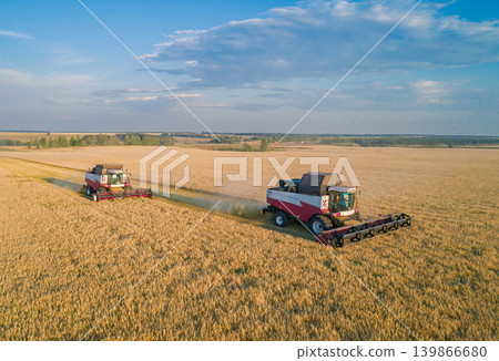 Multiple combine harvesters move through an expansive golden wheat field, harvesting crops under the bright setting sun Multiple combine harvesters move through an expansive golden wheat field, harvesting crops under the bright setting sun 139866680