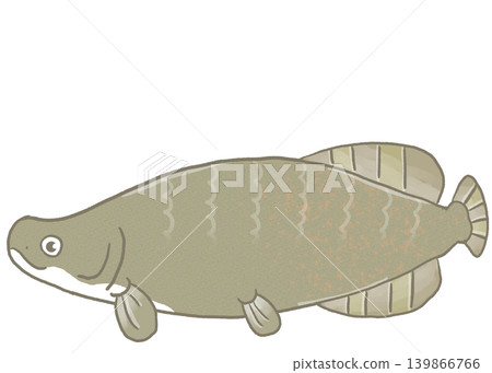 R: A more fairytale-like aquarium ☆ Pirarucu ② R: A more fairytale-like aquarium ☆ Pirarucu ② 139866766