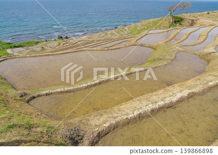 2023 年 5 月,水稻種植前的白米千枚田梯田。 2023 年 5 月,水稻種植前的白米千枚田梯田。 139866898