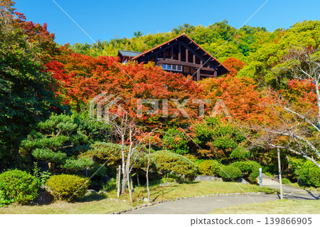 Autumn: The colorful foliage of Mt. Tennozan 139866905