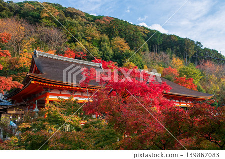 Kiyomizu-dera temple with fall maple leaf foliage colors, Kyoto Kiyomizu-dera temple with fall maple leaf foliage colors, Kyoto 139867083
