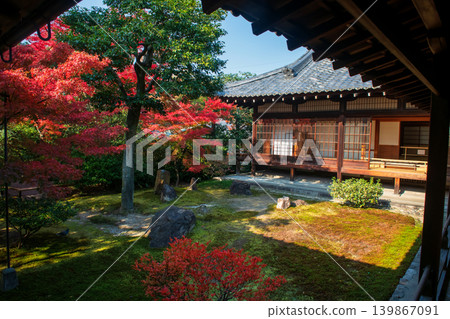 Colorful autumn foliage leaf garden of Kennin-ji temple, Kyoto 139867091