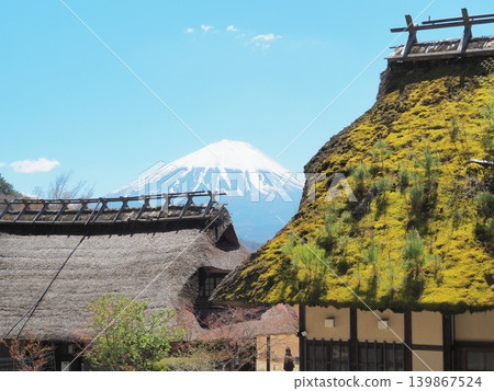 山梨縣：春日碧空，茅草屋環繞的村莊，富士山巍峨聳立。四月。 139867524