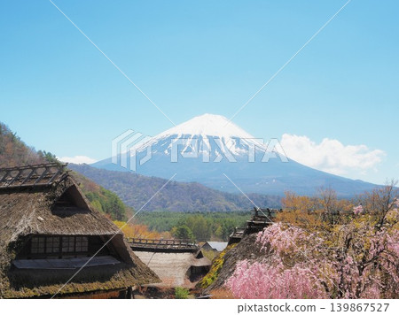 山梨縣：春日碧空，茅草屋環繞的村莊，富士山巍峨聳立。四月。 139867527