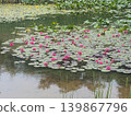 Pond of monet 139867796