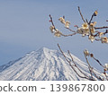 Mount Fuji and red plum blossoms 139867800