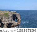 The elephant's trunk and the blue sea of Okinawa 139867804