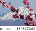 Red plum blossoms and Mount Fuji 139867805