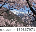 Sakura and Mt. Kitadake 139867971