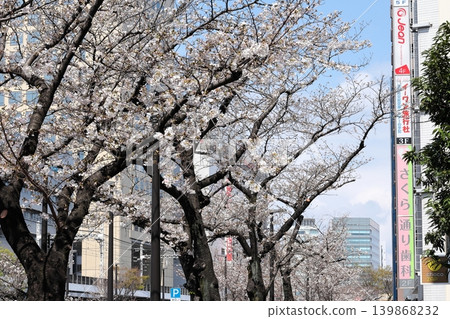 城市景觀：川崎站周圍的櫻花樹 139868232