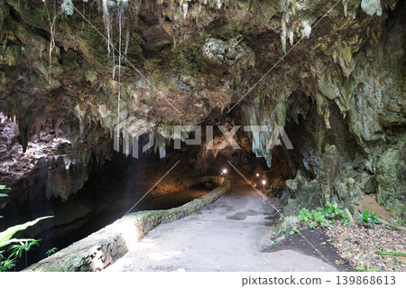 [Ishigaki Island] Sabichi Cave 139868613