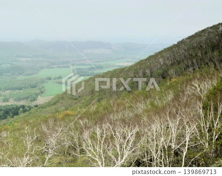 從籠罩在薄霧中的山隘眺望山坡和山谷。 139869713