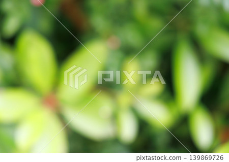 Plant background material Plant background material 139869726