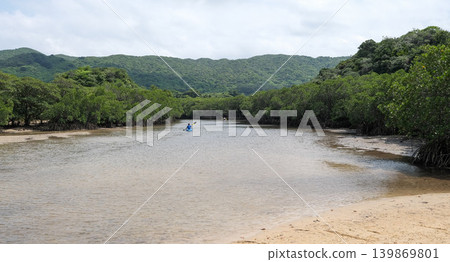 [Ishigaki Island] Mangrove forest along the Fukitogawa River 139869801
