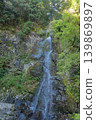 The scenery of the Yangliu Waterfall in Todoroki Gorge, Isahaya, looks like a thread being pulled from the ground. 139869897