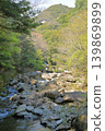 A scene of fresh greenery in Todoroki Gorge, Isahaya. 139869899