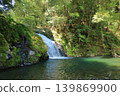 The beautiful scenery of the waterfall basin at Dairyu Falls in Todoroki Gorge, Isahaya. 139869900