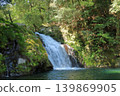 The scenery of the Nataotoshi Waterfall in Todoroki Gorge, Isahaya 139869905