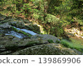 The view of the Dairyu Falls in Todoroki Gorge, Isahaya, from above the waterfall. 139869906