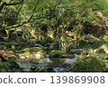 The scenery of Todoroki Gorge in Isahaya, overflowing with negative ions. 139869908
