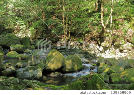 The rustic scenery of the Todoroki Gorge in Isahaya The rustic scenery of the Todoroki Gorge in Isahaya 139869909