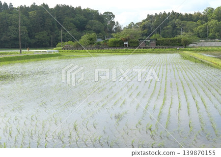 Chiba Prefecture Kominato Railway Kazusakawama Station Chiba Prefecture Kominato Railway Kazusakawama Station 139870155