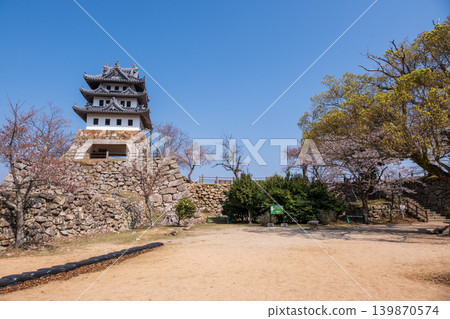 Springtime scenery of the main keep plaza and stone walls of Sumoto Castle Ruins (Awaji Island) Springtime scenery of the main keep plaza and stone walls of Sumoto Castle Ruins (Awaji Island) 139870574