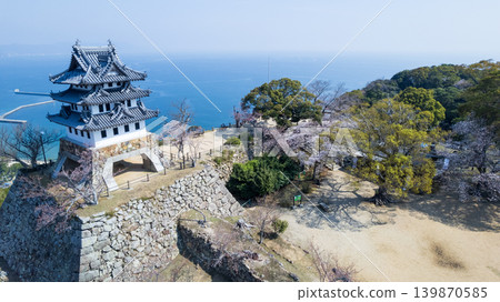 The castle tower of Sumoto Castle ruins with cherry blossoms in bloom, and the vast blue Osaka Bay (drone aerial view) 139870585