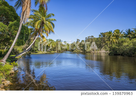 river and palms in Laguna river and palms in Laguna 139870963