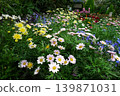  Flower garden 139871031
