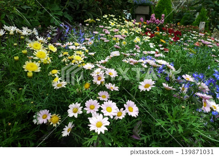 Flower garden Flower garden 139871031
