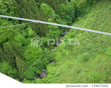 從懸索橋上看到的峽谷景色 從懸索橋上看到的峽谷景色 139871401