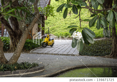 Bright yellow scooter parked on a cobblestone path in a lush tropical garden in Vietnam. Plumeria tree with white flowers, green pond, and resort buildings in the background. Bright yellow scooter parked on a cobblestone path in a lush tropical garden in Vietnam. Plumeria tree with white flowers, green pond, and resort buildings in the background. 139871725