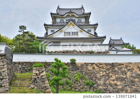 岸和田城堡城堡塔 岸和田城堡城堡塔 139871841