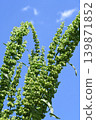 Blue sky and creaks 139871852