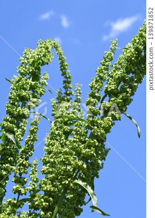 Blue sky and creaks 139871852
