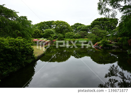 Johoku Park (Shizuoka City) 260523pm2:41 Johoku Park (Shizuoka City) 260523pm2:41 139871877