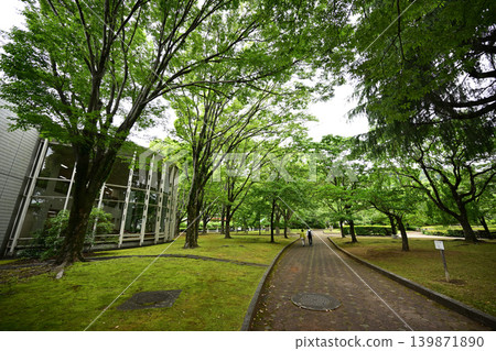 城北公園(靜岡市)260523下午3:28 城北公園(靜岡市)260523下午3:28 139871890