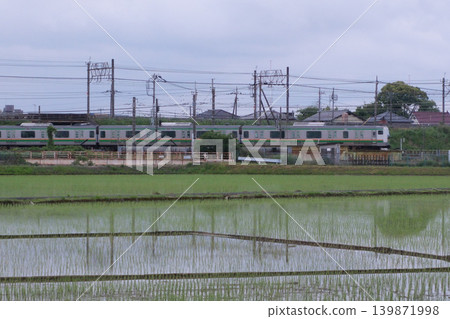 一列通勤列車行駛在稻田間(JR宇都宮線,E231系) 一列通勤列車行駛在稻田間(JR宇都宮線,E231系) 139871998