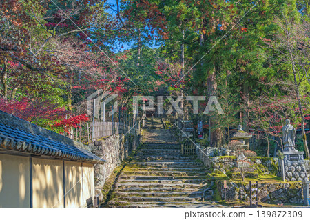 滋賀縣西明寺沿途的秋日景色 滋賀縣西明寺沿途的秋日景色 139872309
