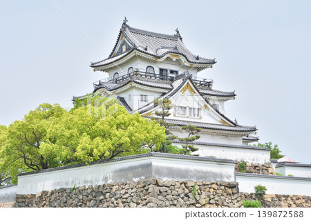岸和田城堡城堡塔 岸和田城堡城堡塔 139872588