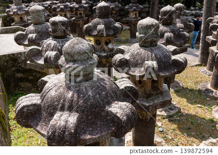 Close-up of a stone lantern covered in moss and lichens at Tokoji Temple (Mori family cemetery, Hagi City) Close-up of a stone lantern covered in moss and lichens at Tokoji Temple (Mori family cemetery, Hagi City) 139872594